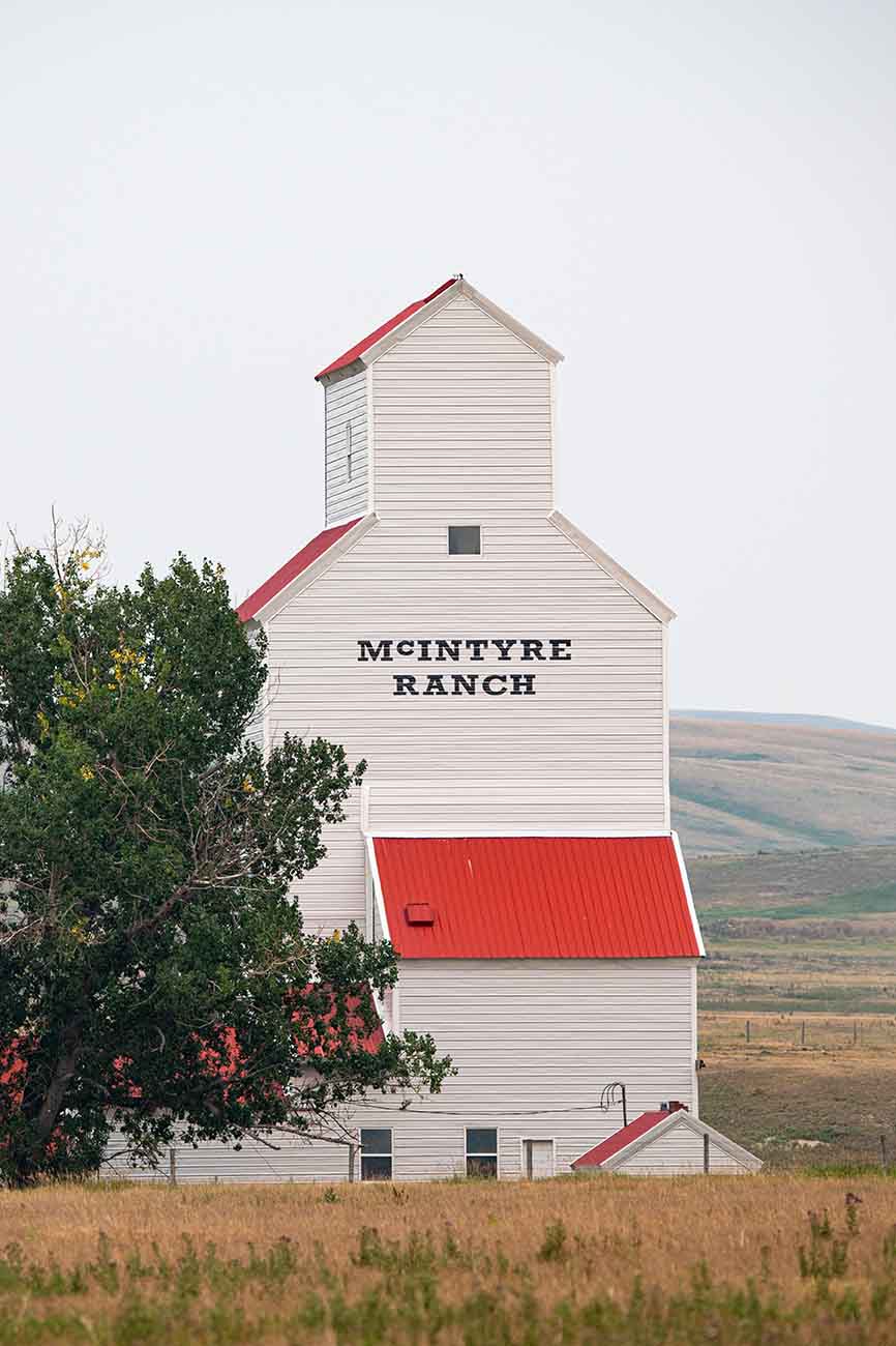 Why Ranching – Mcintyre Ranch